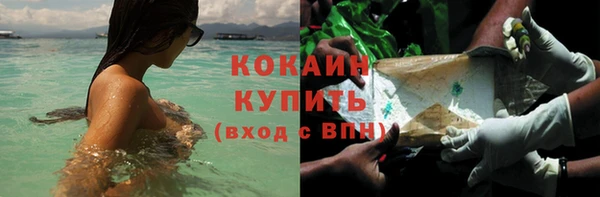 крисы Верея